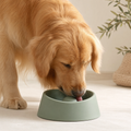 Lick & Enjoy Pet Bowl